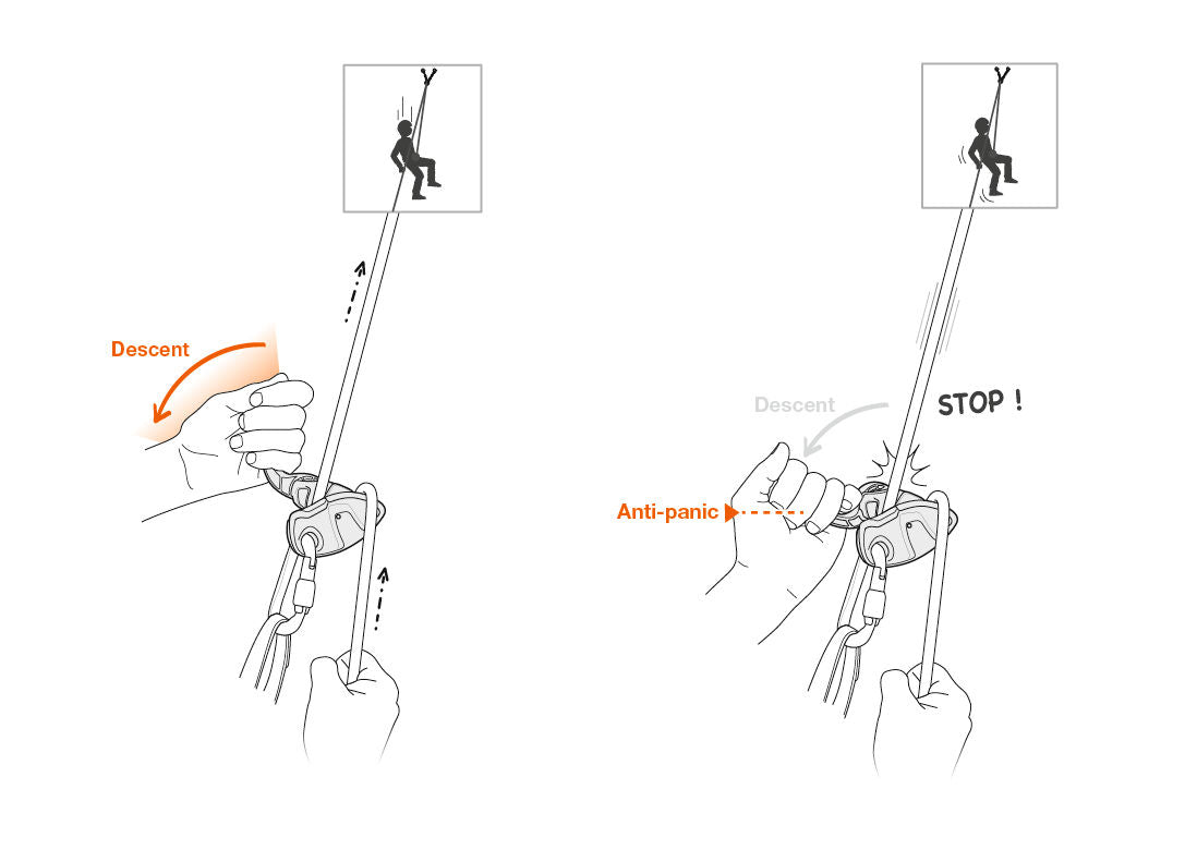 Petzl Grigri Plus Sicherungsgerät mit Blockierunterstützung JETZT MIETEN bei Eddy's Adventure